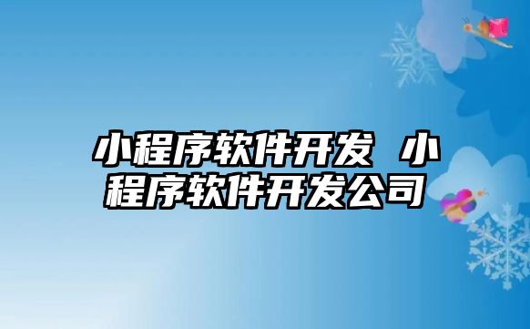 小程序軟件開發 小程序軟件開發公司