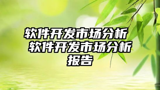 軟件開發市場分析 軟件開發市場分析報告