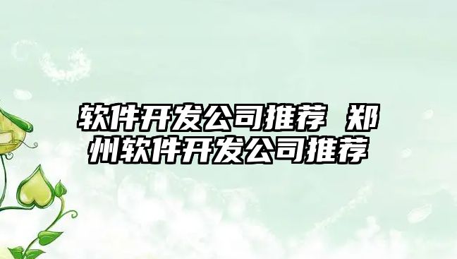 軟件開發公司推薦 鄭州軟件開發公司推薦