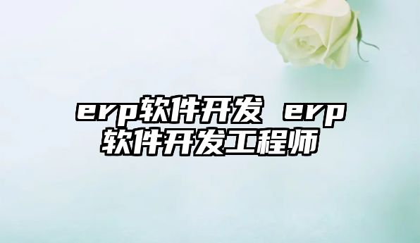 erp軟件開發 erp軟件開發工程師