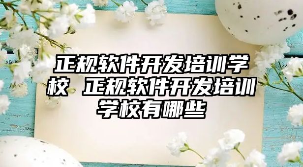 正規軟件開發培訓學校 正規軟件開發培訓學校有哪些