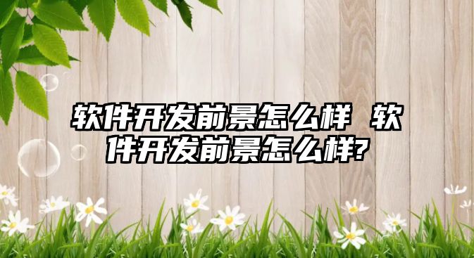 軟件開發前景怎么樣 軟件開發前景怎么樣?
