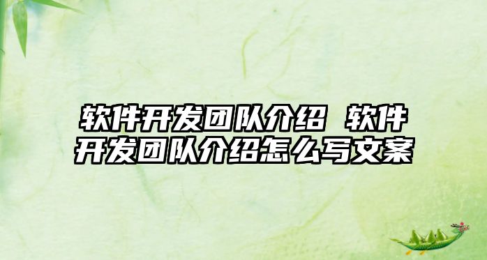 軟件開(kāi)發(fā)團(tuán)隊(duì)介紹 軟件開(kāi)發(fā)團(tuán)隊(duì)介紹怎么寫(xiě)文案