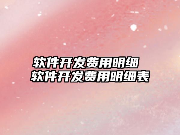 軟件開(kāi)發(fā)費(fèi)用明細(xì) 軟件開(kāi)發(fā)費(fèi)用明細(xì)表