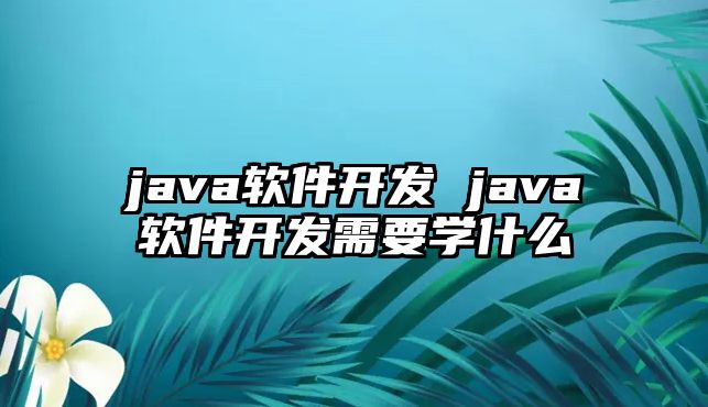 java軟件開發 java軟件開發需要學什么