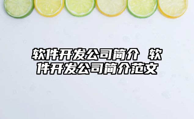 軟件開發公司簡介 軟件開發公司簡介范文