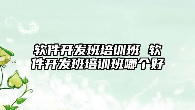 軟件開發(fā)班培訓班 軟件開發(fā)班培訓班哪個好