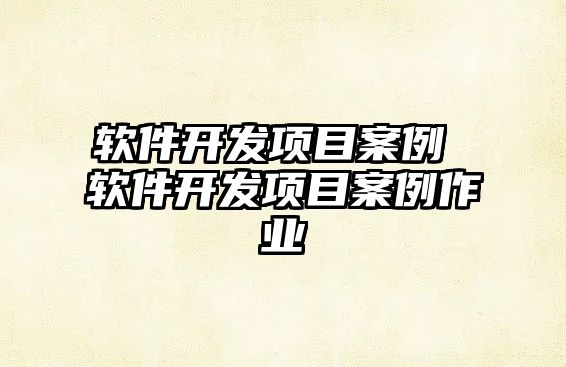 軟件開(kāi)發(fā)項(xiàng)目案例 軟件開(kāi)發(fā)項(xiàng)目案例作業(yè)