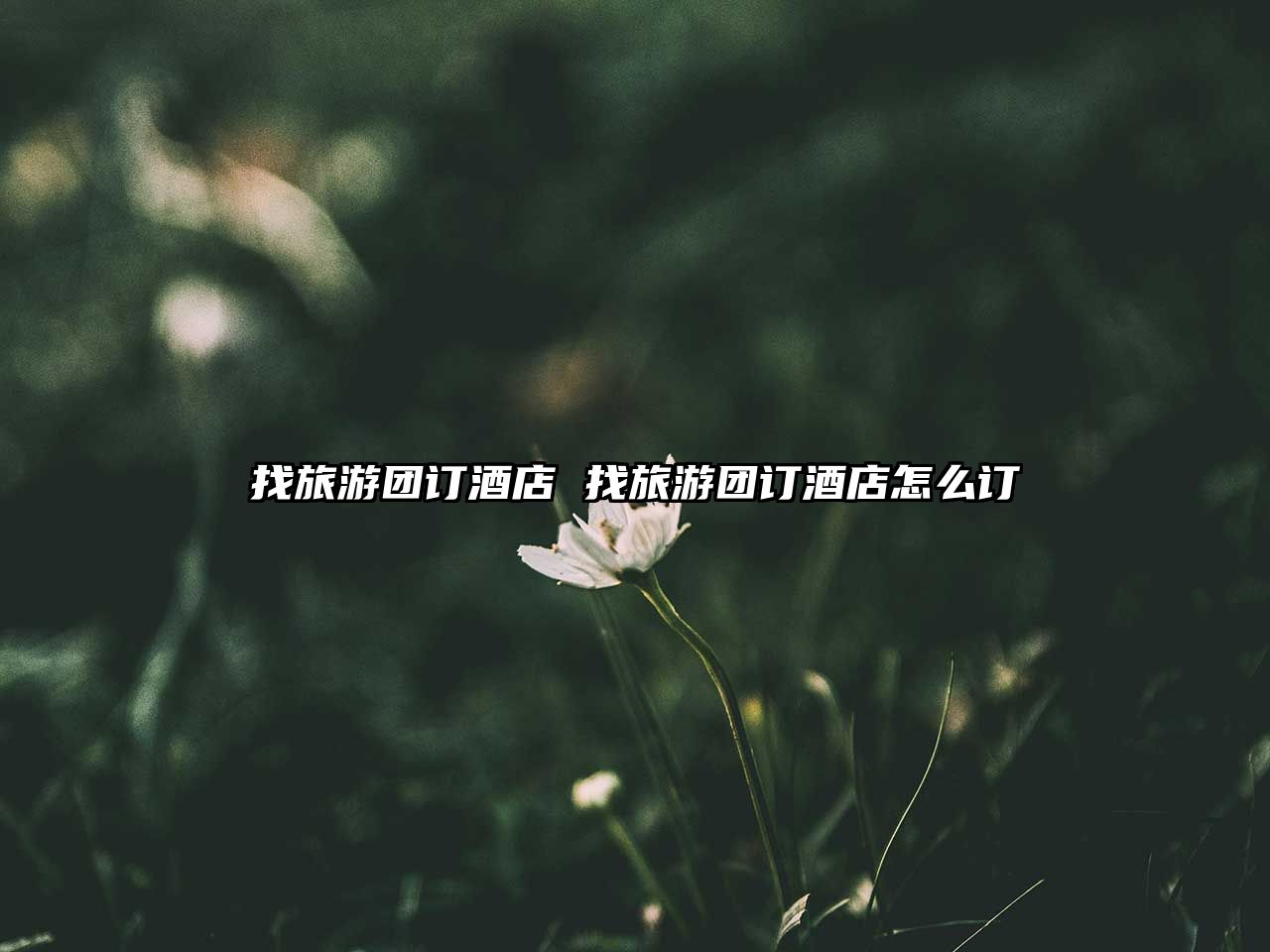 找旅游團訂酒店 找旅游團訂酒店怎么訂