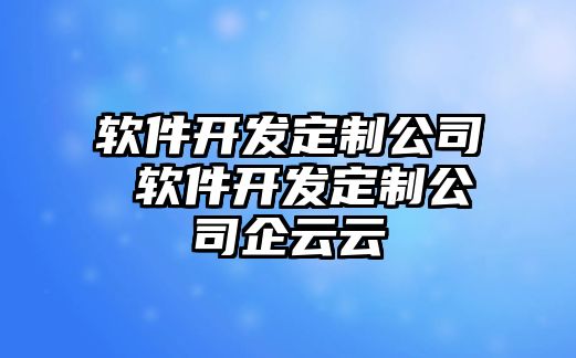 軟件開發(fā)定制公司 軟件開發(fā)定制公司企云云