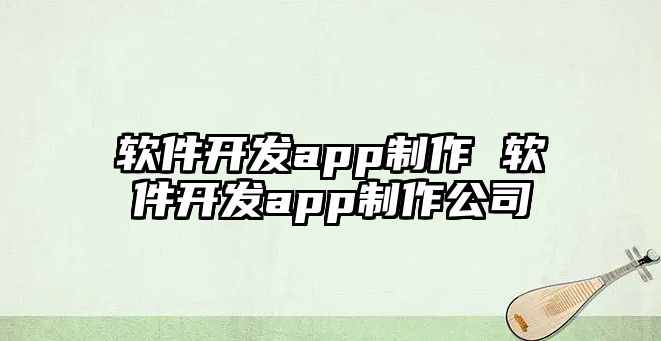 軟件開發app制作 軟件開發app制作公司