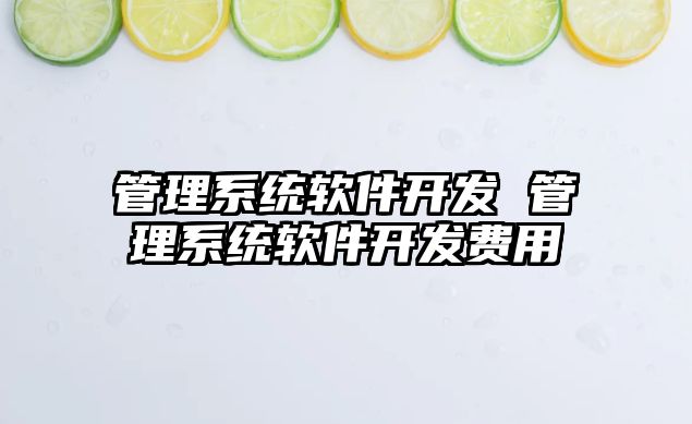 管理系統(tǒng)軟件開發(fā) 管理系統(tǒng)軟件開發(fā)費用