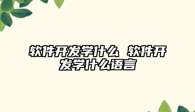 軟件開發學什么 軟件開發學什么語言