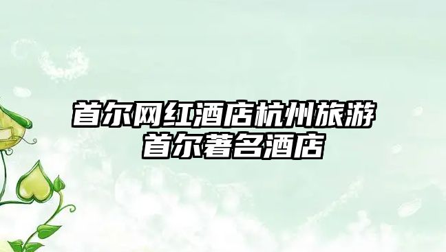 首爾網紅酒店杭州旅游 首爾著名酒店