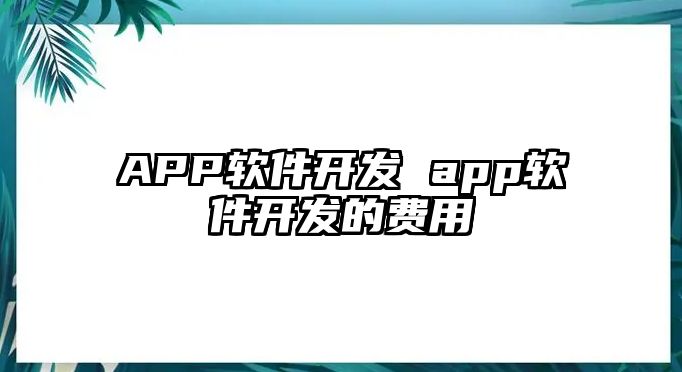APP軟件開發 app軟件開發的費用