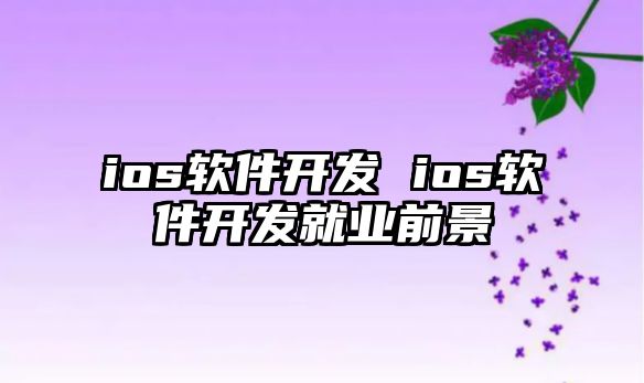 ios軟件開發 ios軟件開發就業前景