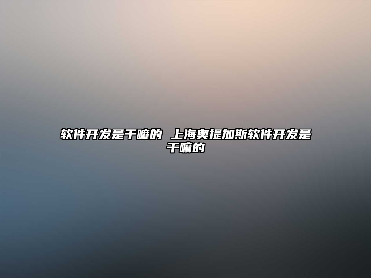 軟件開發(fā)是干嘛的 上海奧提加斯軟件開發(fā)是干嘛的