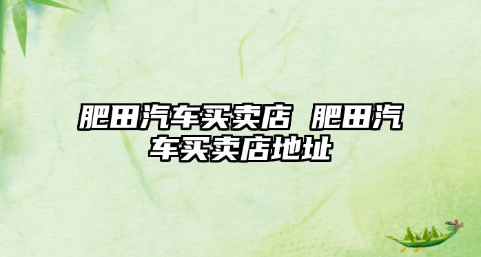 肥田汽車買賣店 肥田汽車買賣店地址