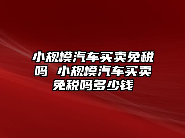 小規模汽車買賣免稅嗎 小規模汽車買賣免稅嗎多少錢