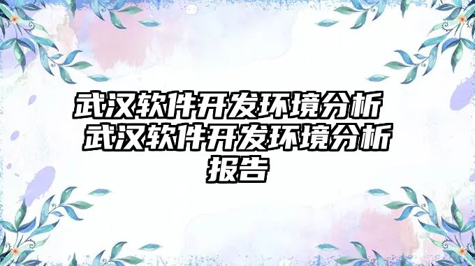 武漢軟件開發(fā)環(huán)境分析 武漢軟件開發(fā)環(huán)境分析報告