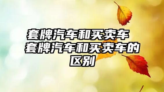 套牌汽車和買賣車 套牌汽車和買賣車的區別