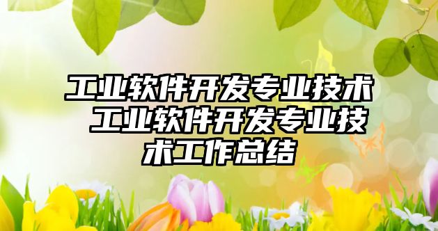 工業(yè)軟件開(kāi)發(fā)專(zhuān)業(yè)技術(shù) 工業(yè)軟件開(kāi)發(fā)專(zhuān)業(yè)技術(shù)工作總結(jié)