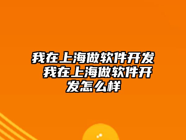 我在上海做軟件開發(fā) 我在上海做軟件開發(fā)怎么樣