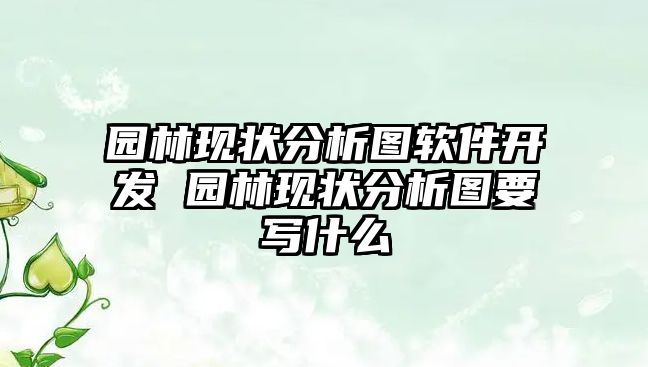 園林現狀分析圖軟件開發 園林現狀分析圖要寫什么