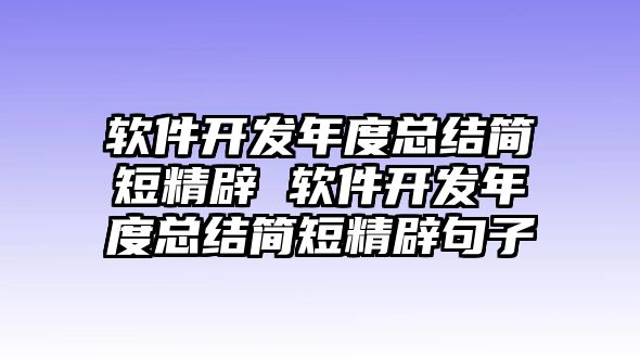 軟件開(kāi)發(fā)年度總結(jié)簡(jiǎn)短精辟 軟件開(kāi)發(fā)年度總結(jié)簡(jiǎn)短精辟句子