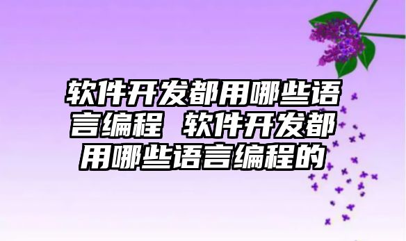 軟件開發(fā)都用哪些語言編程 軟件開發(fā)都用哪些語言編程的
