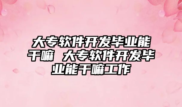 大專軟件開發畢業能干嘛 大專軟件開發畢業能干嘛工作