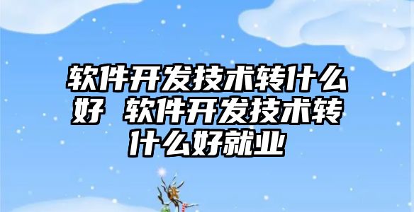 軟件開(kāi)發(fā)技術(shù)轉(zhuǎn)什么好 軟件開(kāi)發(fā)技術(shù)轉(zhuǎn)什么好就業(yè)