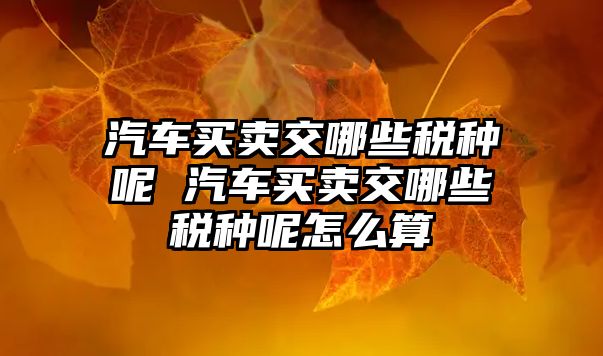 汽車買賣交哪些稅種呢 汽車買賣交哪些稅種呢怎么算