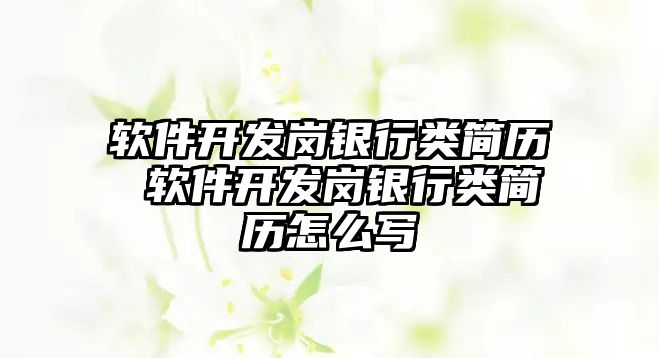 軟件開發崗銀行類簡歷 軟件開發崗銀行類簡歷怎么寫