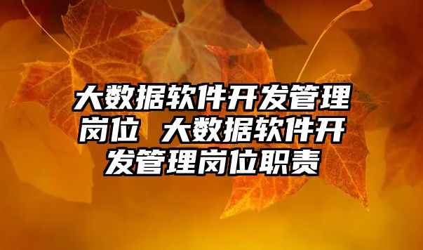 大數據軟件開發管理崗位 大數據軟件開發管理崗位職責