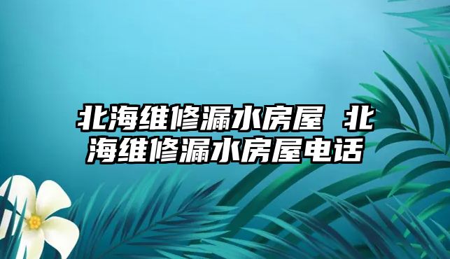 北海維修漏水房屋 北海維修漏水房屋電話