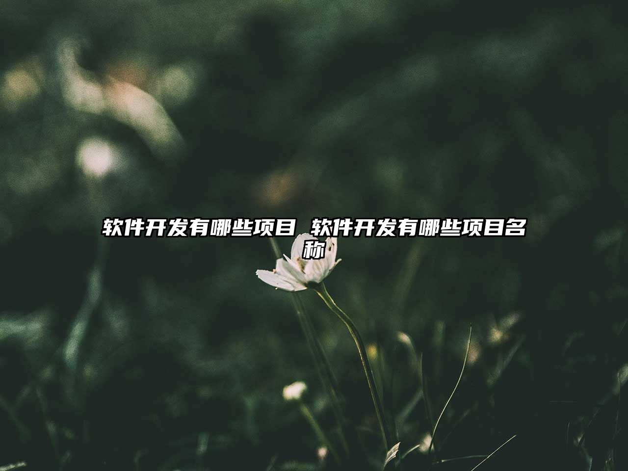 軟件開發有哪些項目 軟件開發有哪些項目名稱