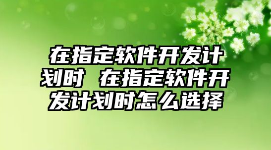 在指定軟件開發(fā)計劃時 在指定軟件開發(fā)計劃時怎么選擇