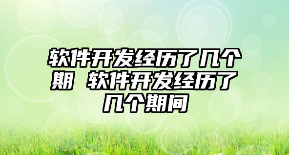 軟件開發經歷了幾個期 軟件開發經歷了幾個期間