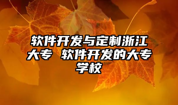 軟件開(kāi)發(fā)與定制浙江大專(zhuān) 軟件開(kāi)發(fā)的大專(zhuān)學(xué)校