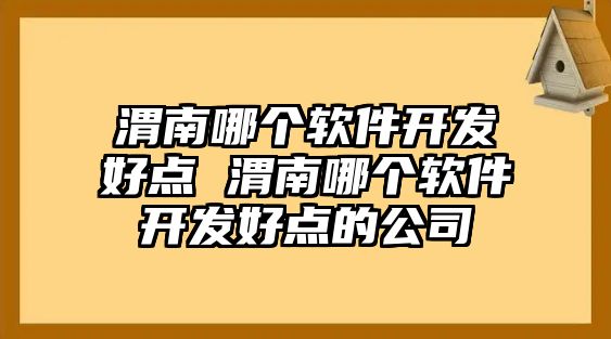 渭南哪個軟件開發好點 渭南哪個軟件開發好點的公司