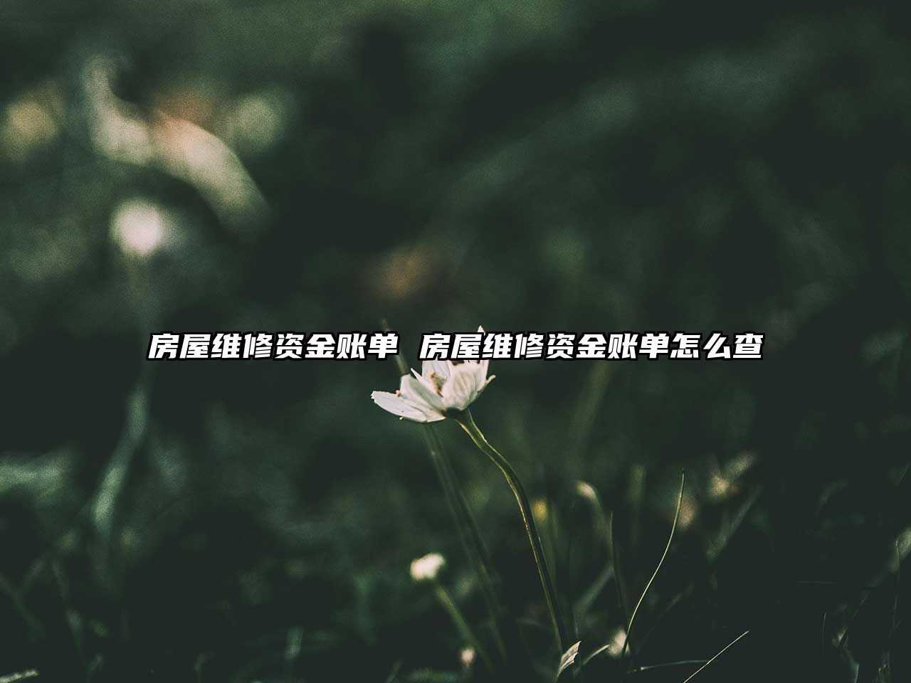 房屋維修資金賬單 房屋維修資金賬單怎么查