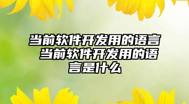 當前軟件開發(fā)用的語言 當前軟件開發(fā)用的語言是什么