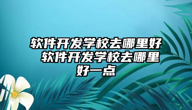軟件開發(fā)學校去哪里好 軟件開發(fā)學校去哪里好一點