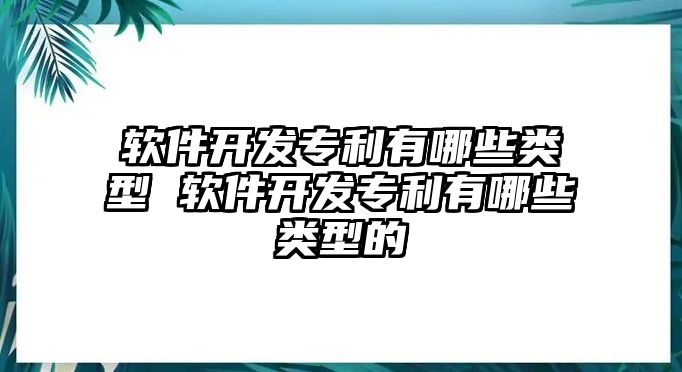 軟件開發專利有哪些類型 軟件開發專利有哪些類型的