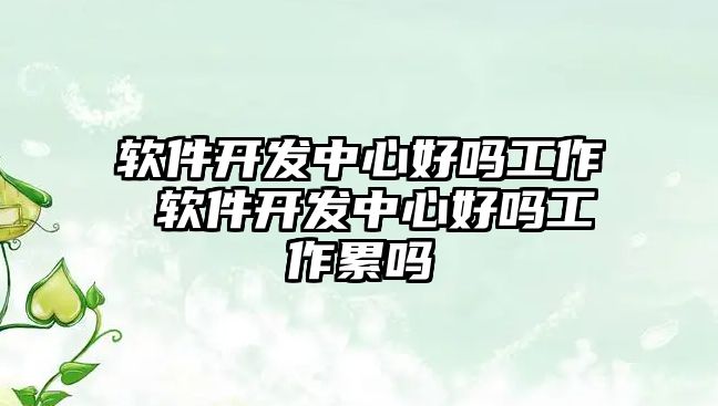 軟件開發(fā)中心好嗎工作 軟件開發(fā)中心好嗎工作累嗎